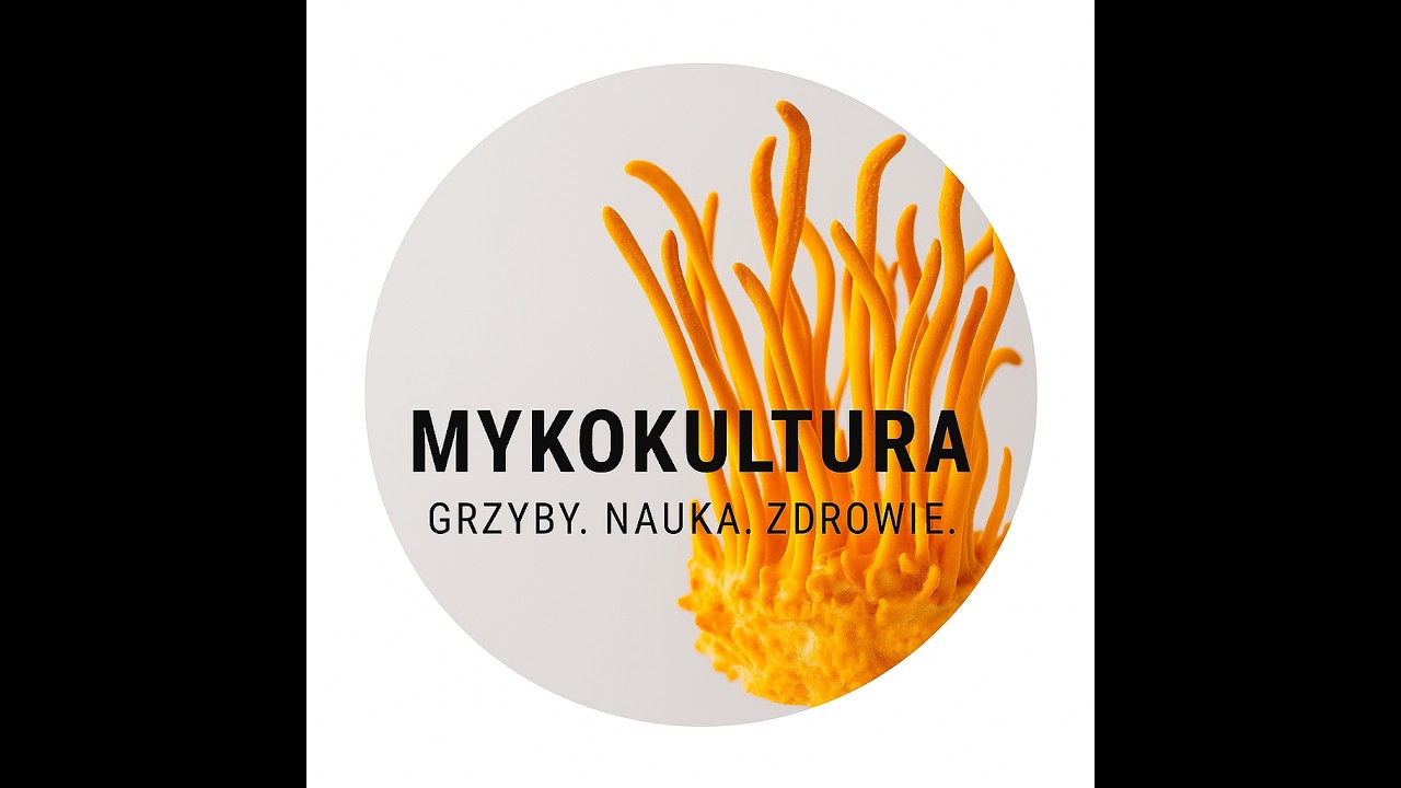 Moja transmisja testowa