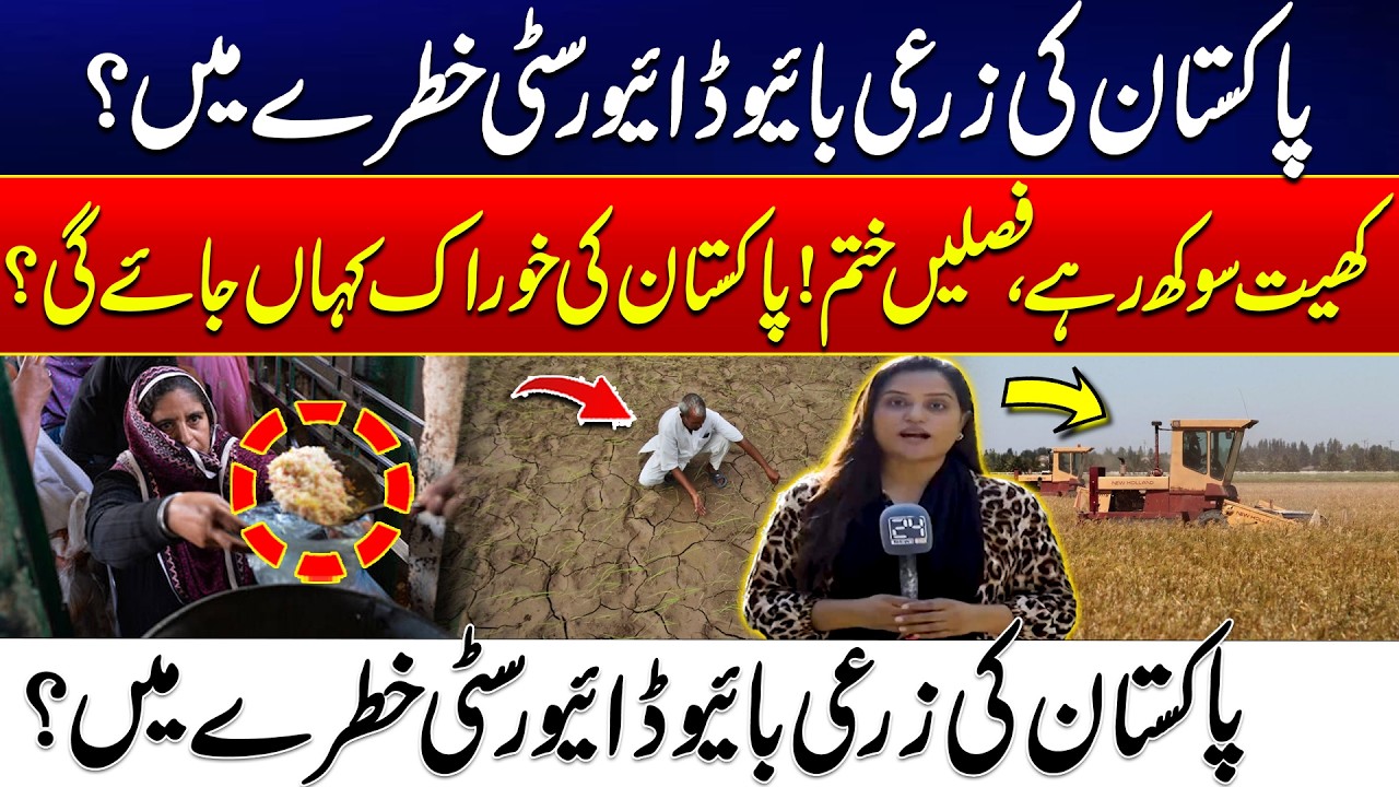 Food Crisis In Pakistan? - How Extreme Heat and Drought are Killing Our Crops | 24 News HD