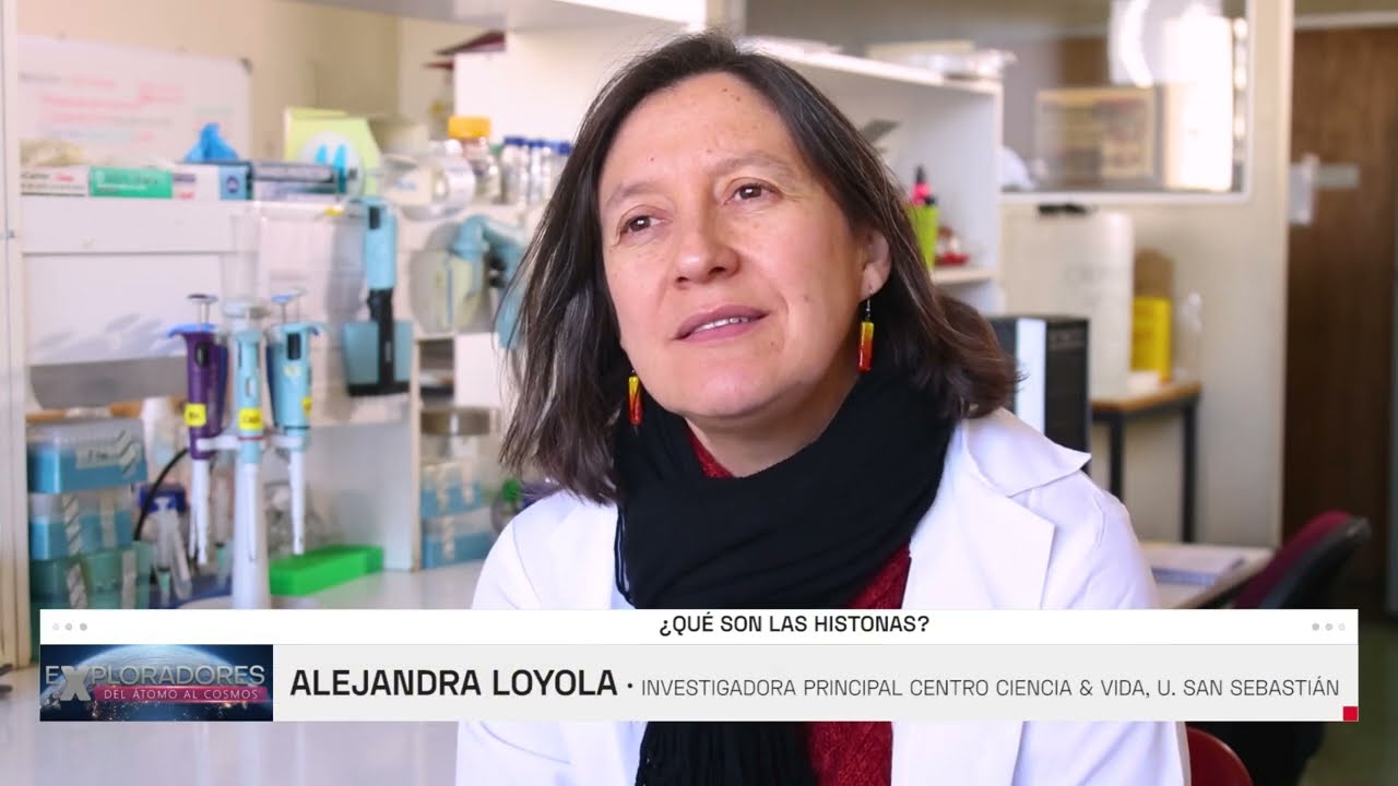FCV | &iquest;QU&Eacute; SON LAS HISTONAS?