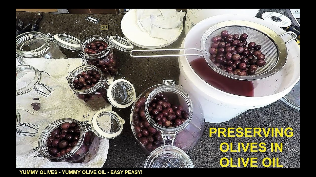 Preserving Olives in Oil - Prepping for SHTF