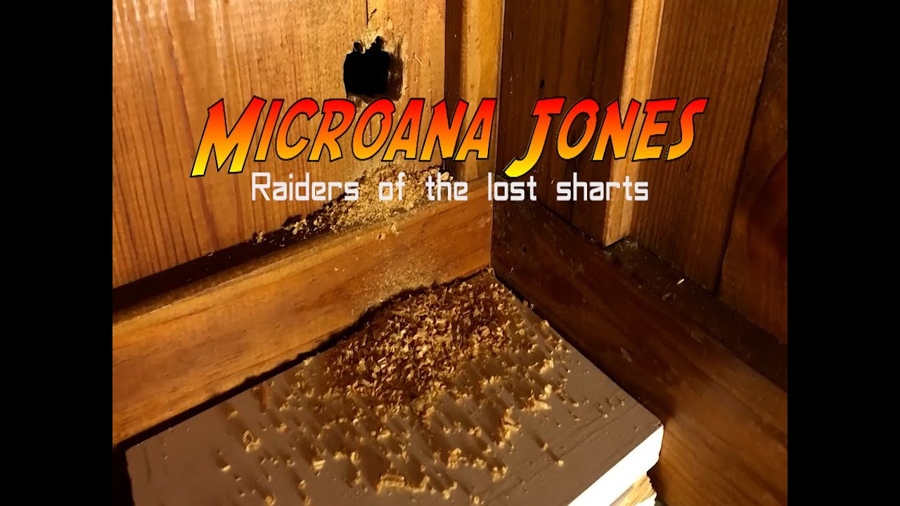 James & Micro Mike - In 