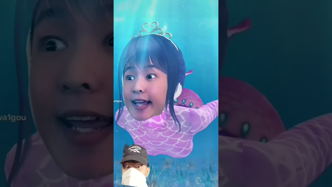 gaya 🤣