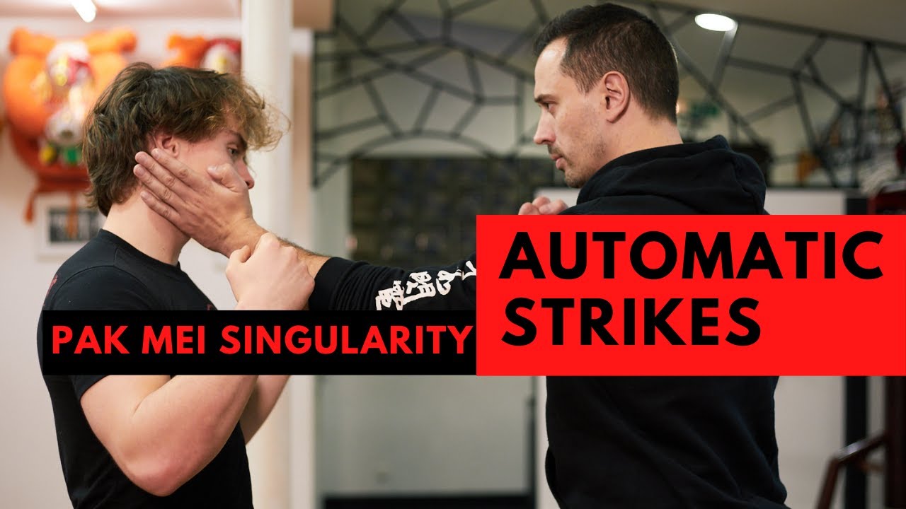 Automatic Strikes - Singularity of Pak Mei Kung Fu