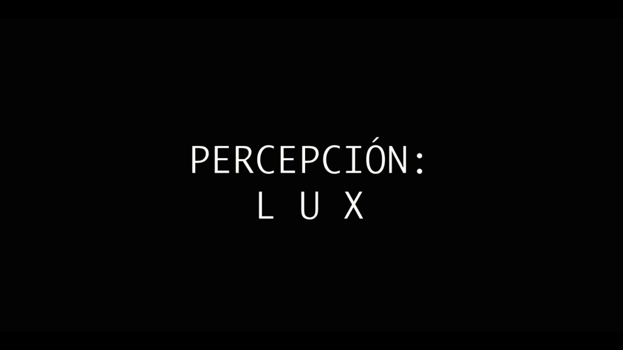 PERCEPCIÓN: L U X