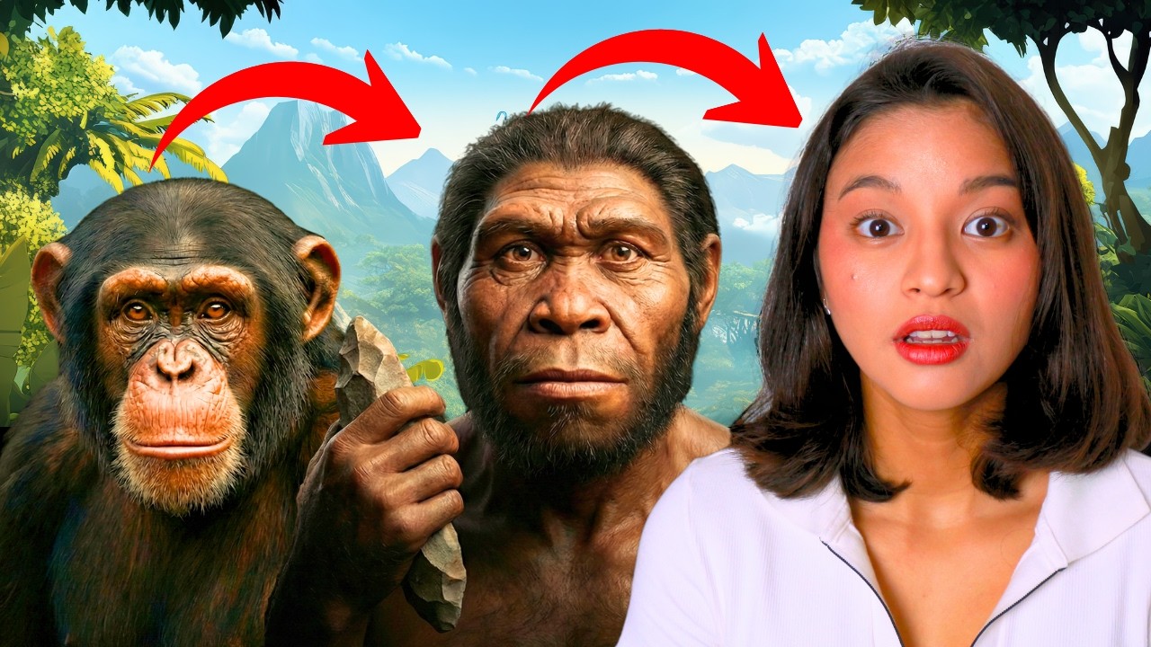 Se viemos dos MACACOS, por que eles ainda EXISTEM?