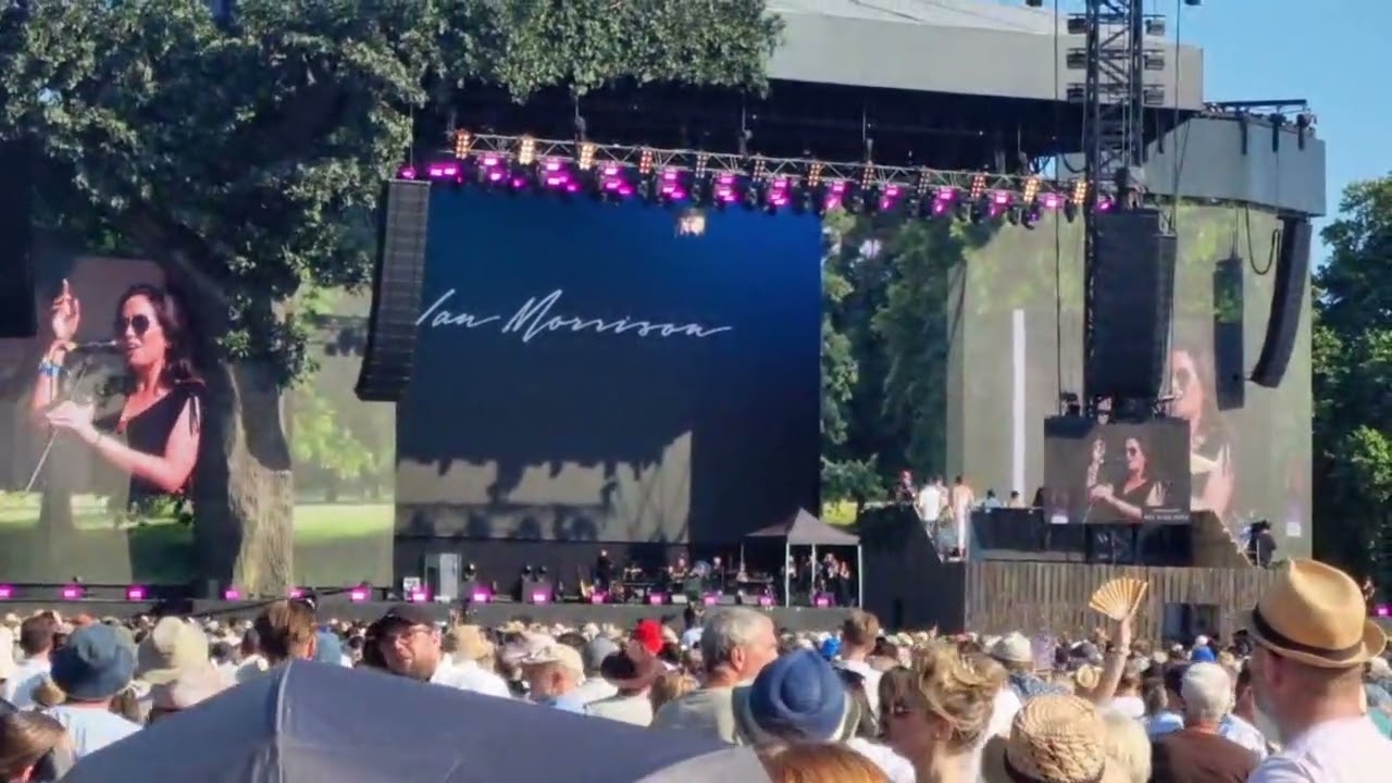 Hyde Park London 2025 - NEIL YOUNG, CAT STEVENS AND VAN MORRISON!! AMAZING 👏 🤩