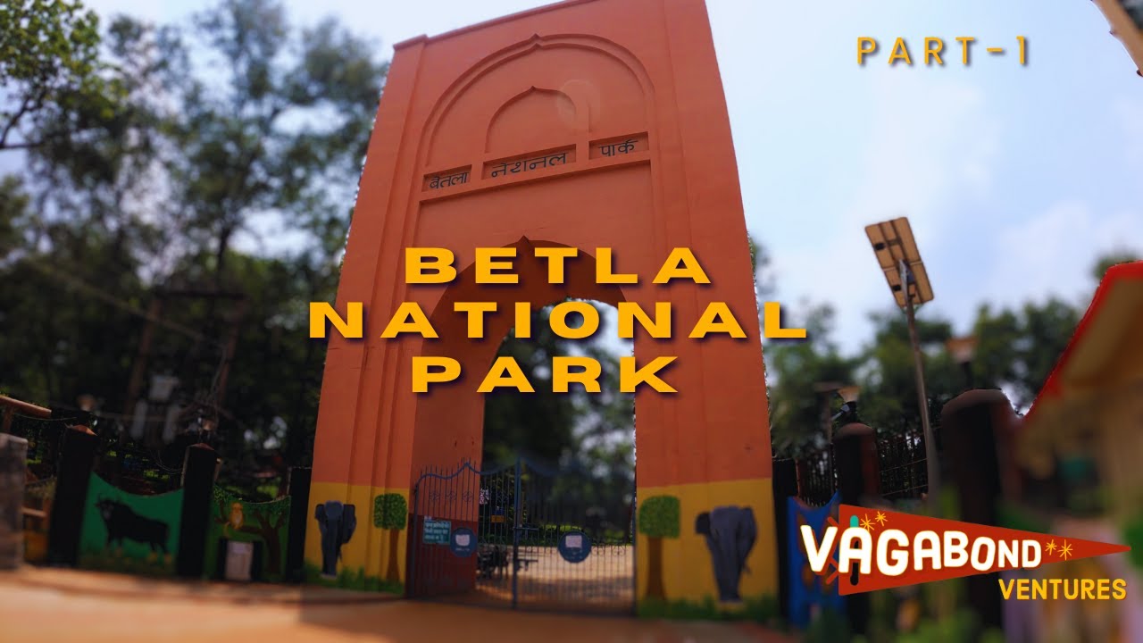 BETLA National Park (Part-1) | Why Did Our Plan Fail? | 4K60 | Travel Vlog | #vagabondventures12