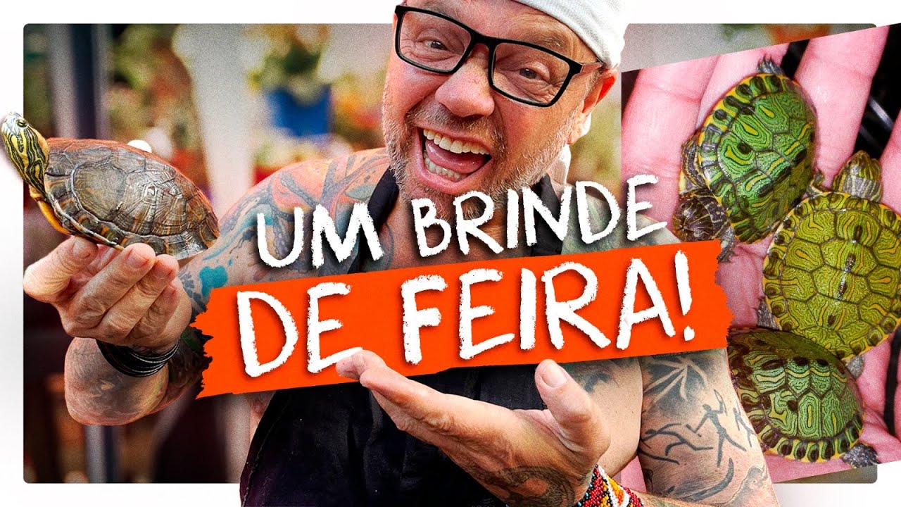 DAVAM ESTA TARTARUGA NA FEIRA! | RICHARD RASMUSSEN