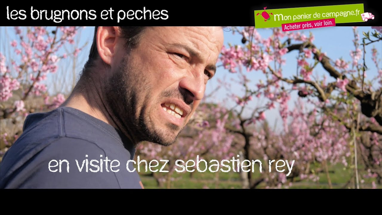 En visite chez Sébastien, maraîcher à Verdun-sur-Garonne