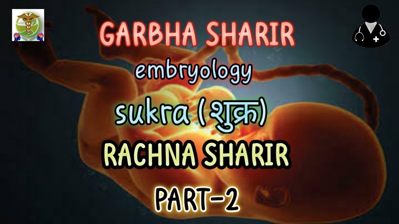शुक्र l  GARBHA SHARIR(Embrology) l PART-2 l रचना शारीर | BAMS 1st year lecture