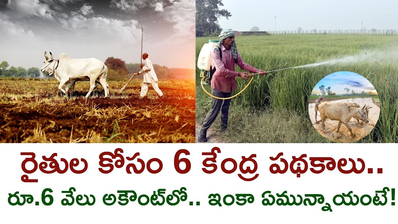 Top 6 Central Govt Schemes For Farmers | PM Kisan ₹6000 & More Explained