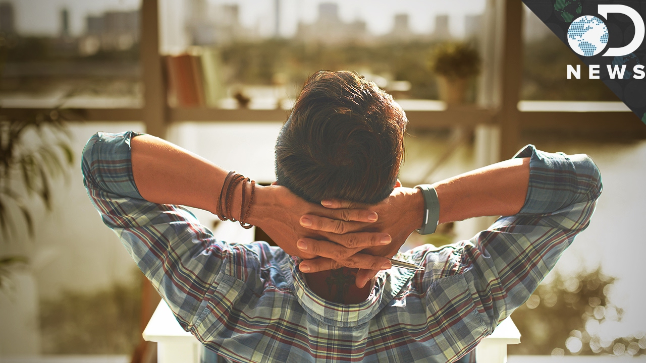 Science Finally Says We Should Never Work 40 Hours A Week