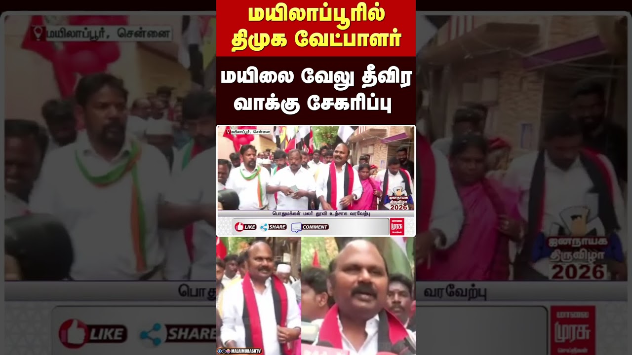 மயிலாப்பூரில் திமுக வேட்பாளர் மயிலை வேலு தீவிர வாக்கு சேகரிப்பு | Maylapore | DMK | Mylai Velu