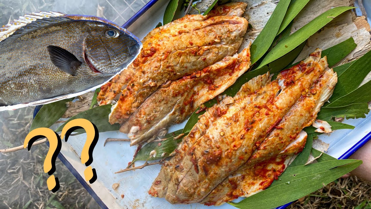 Eating Australia's worst rated table fish... - Sweetlips (morwong) Catch & Cook