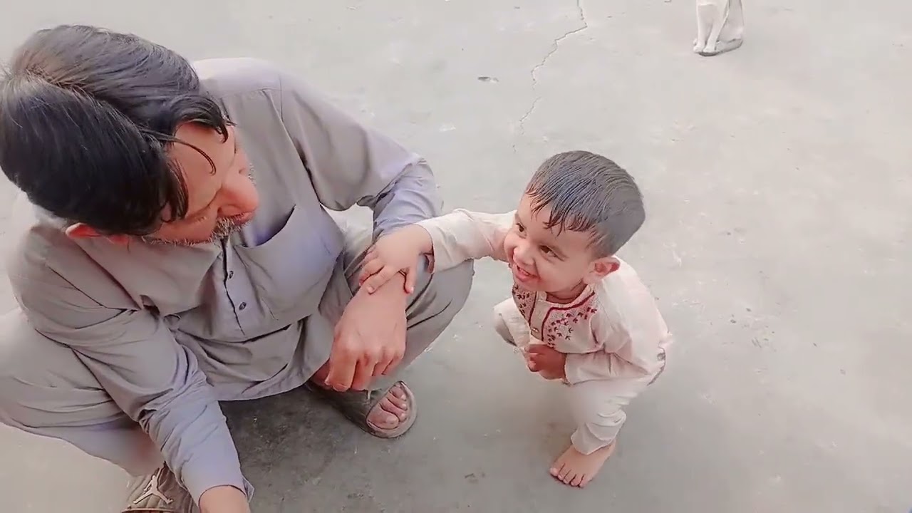 Hen & chicks 🐣🐤