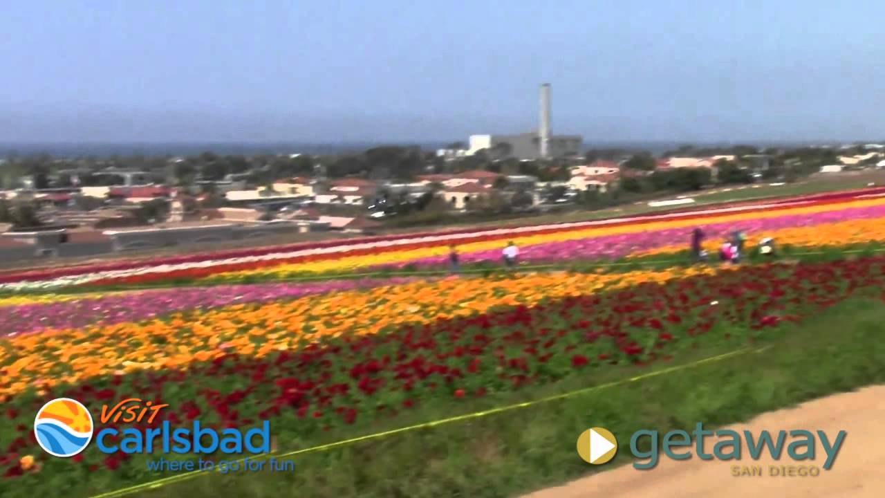 Carlsbad ~ Getaway San Diego