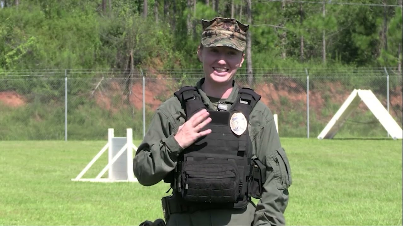 CORPS & COUNTRY AVERI LAVOIE TWO BOOTS  FOUR PAWS