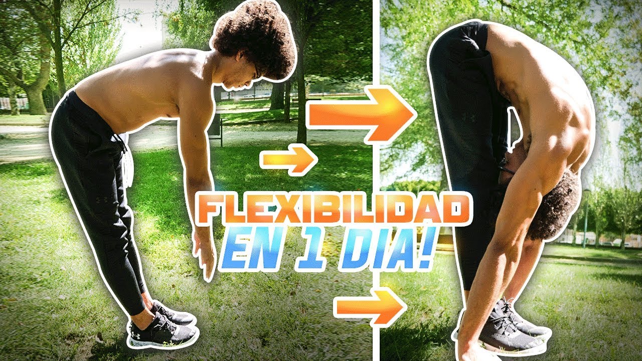 COMO GANAR FLEXIBILIDAD EN PRINCIPIANTES (RUTINA 15 MIN) - YOGA PARA CALISTENIA