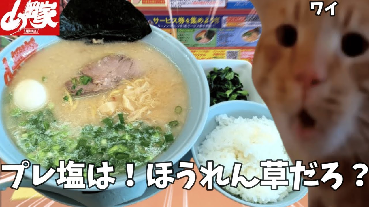 【山岡家】やっぱプレ塩だよな！？ほうれん草も追加でライスをかきこめ！という話【クセになる味】#猫ミーム  #猫マニ