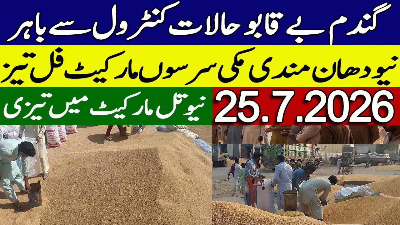 Gundan Makki Rates Today 2026 || New New Dhan Rates Today || Makki Ka Rate Today
