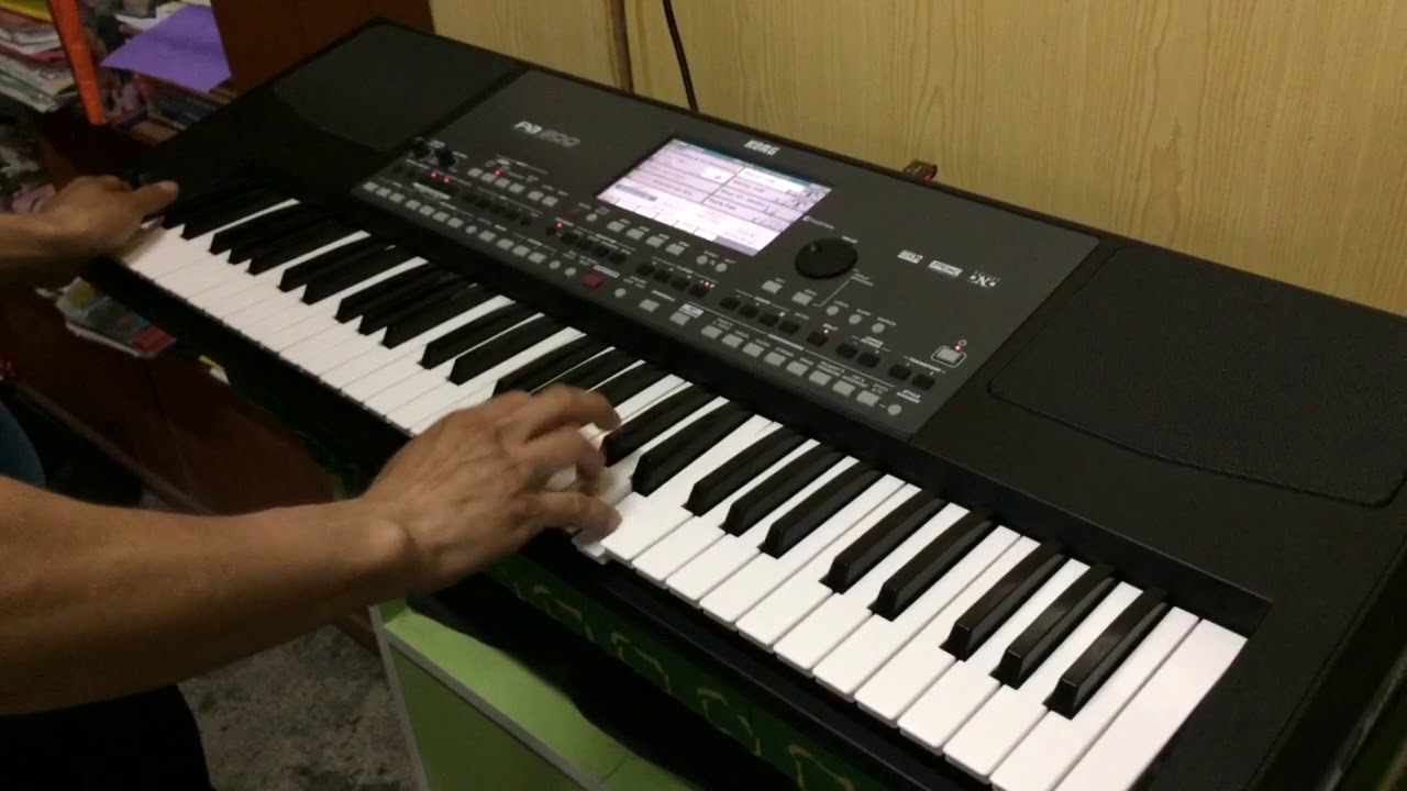 Guitar Led Korg Pa600