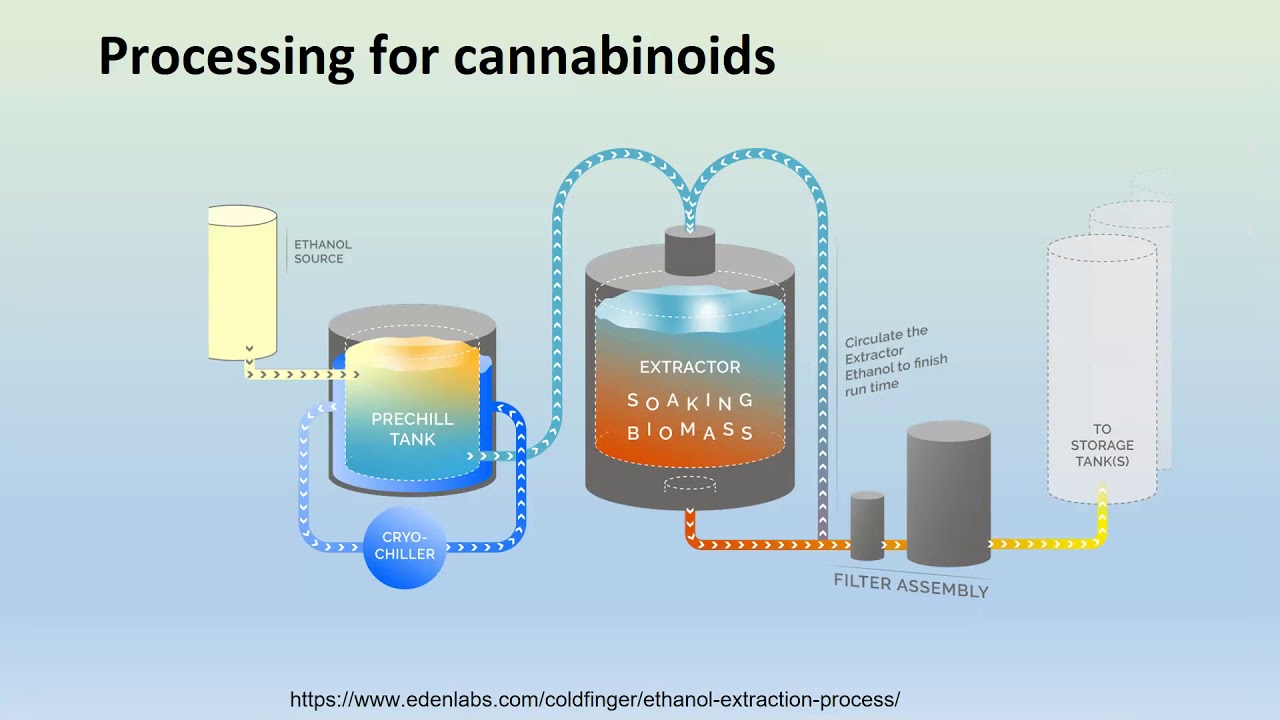 Overview of Cannabis Processing