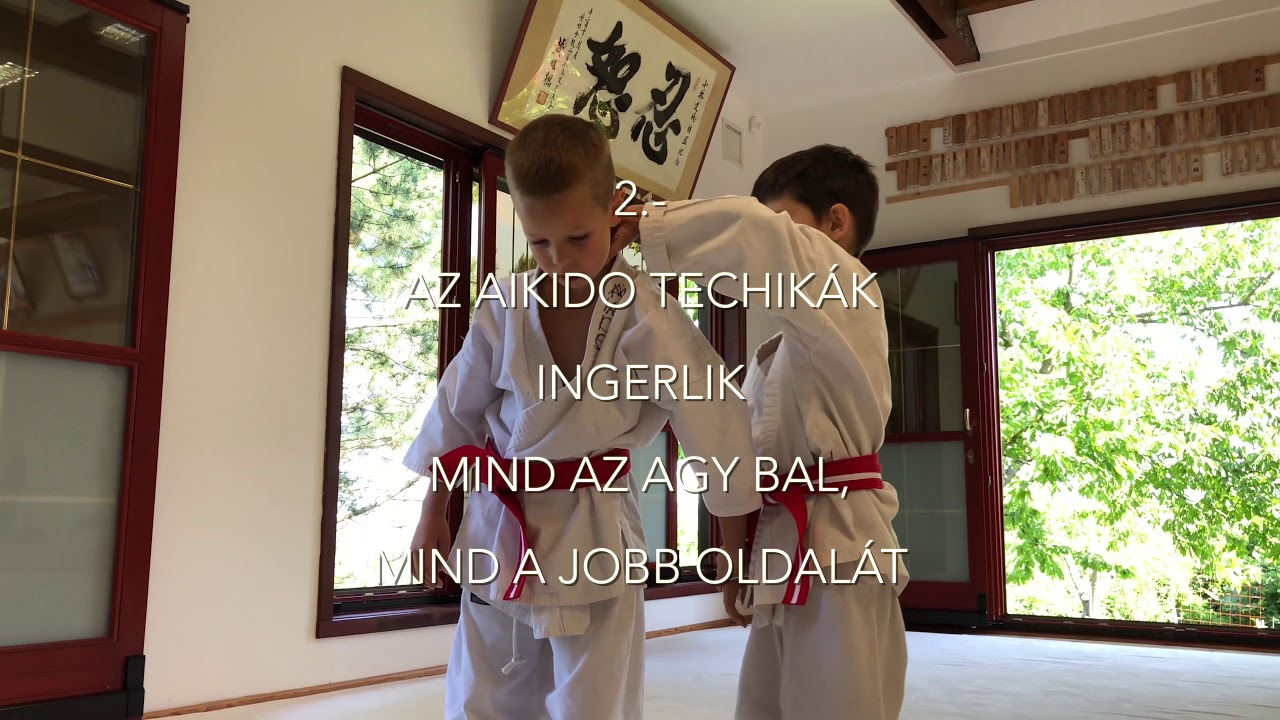 Mit ad az Aikido a gyerekeknek...