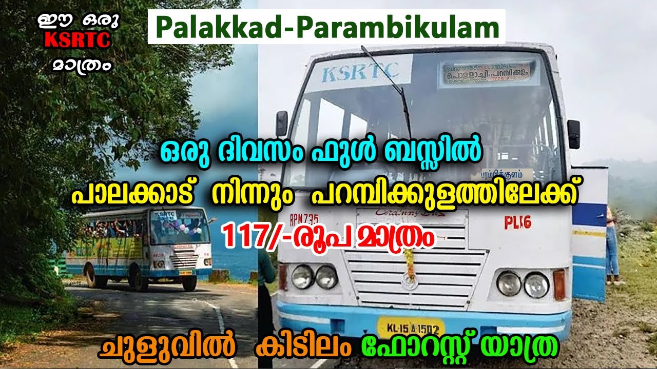 ഒരു ദിവസം ഫുൾ KSRTC ബസ്സിൽ പാലക്കാട് നിന്നും പറമ്പിക്കുളത്തിലേക്ക് |KSRTC Parambikulam Trip