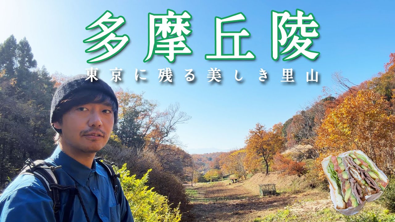 【多摩丘陵】午後からも歩ける癒しの里山｜新宿から45分！【山ごはん：ローストビーフアボカドサンド】_2025.11.30
