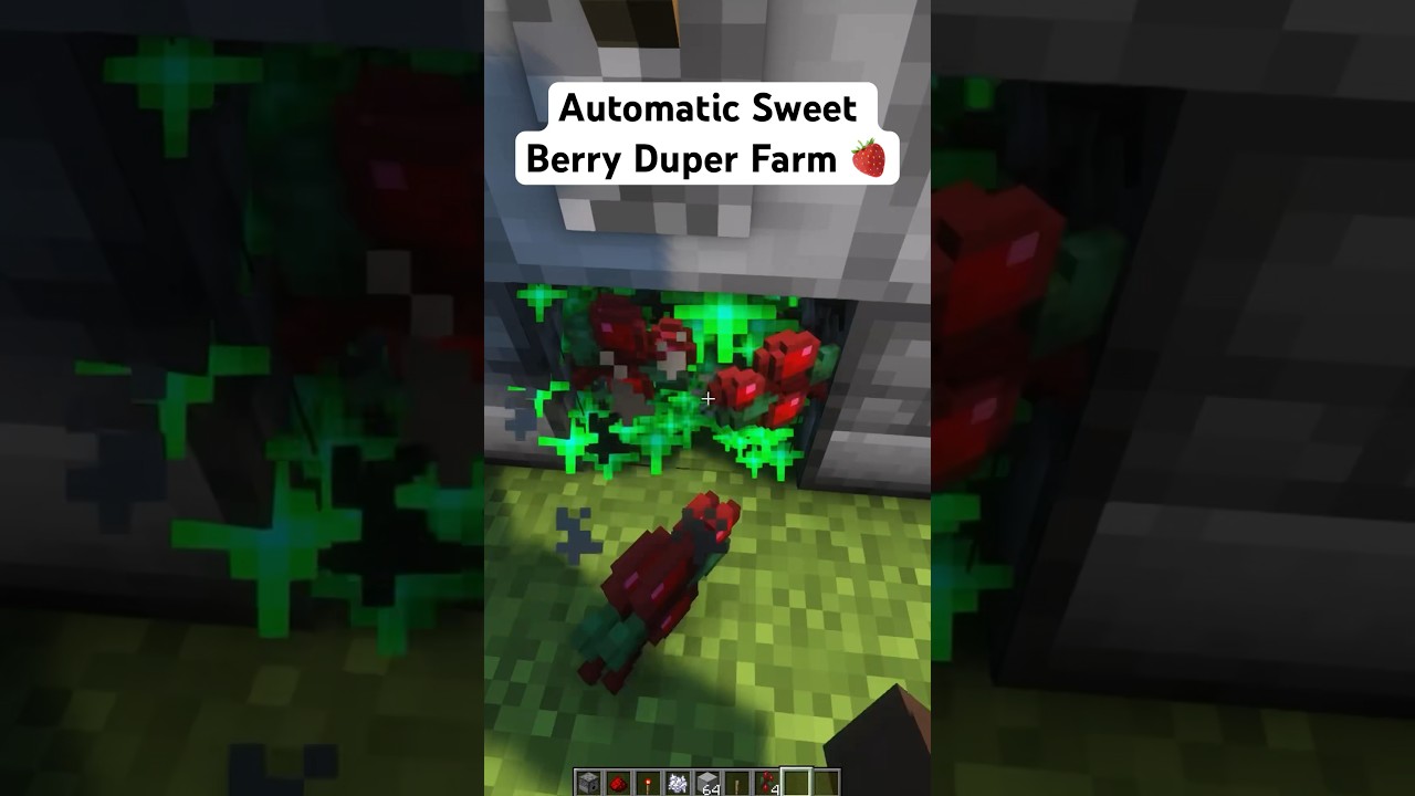 Automatic Sweet Berry Duplication Farm in Minecraft #viral #minecraftfarm #minecrafttutorial