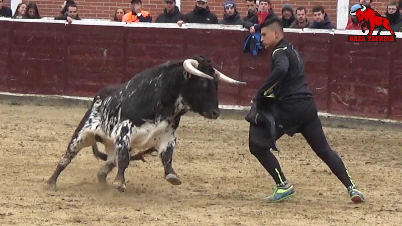 Capea solidaria. San Sebastián de los Reyes (Madrid). 19 Enero 2019