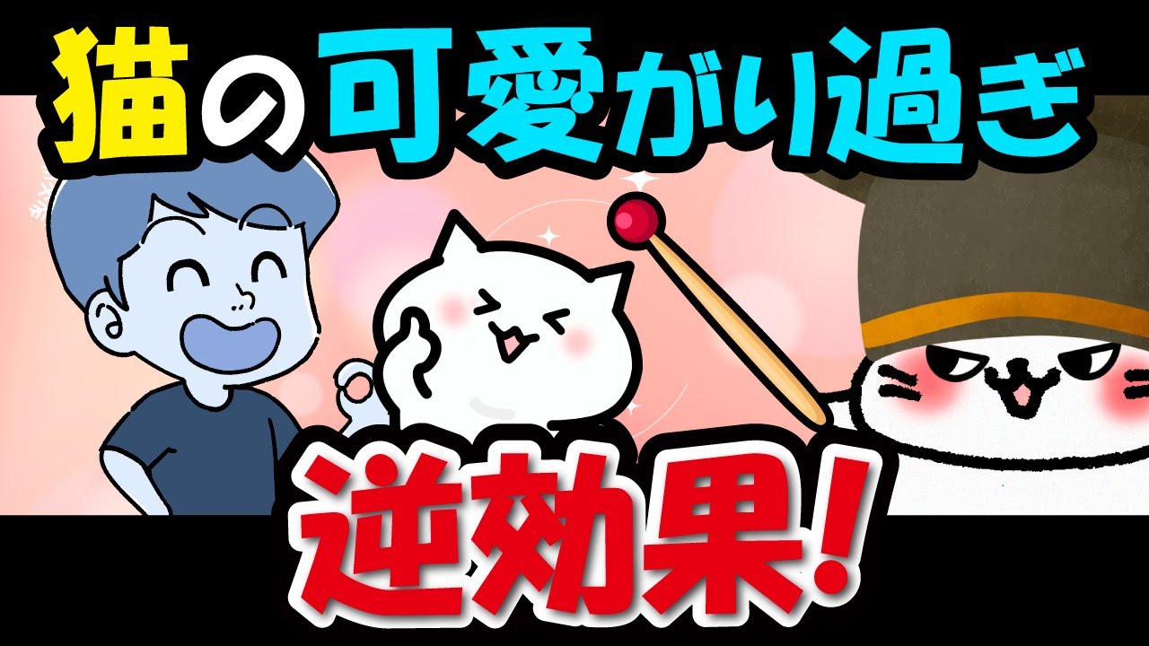 猫の可愛がりすぎは実は逆効果…“やりがち行動”4選