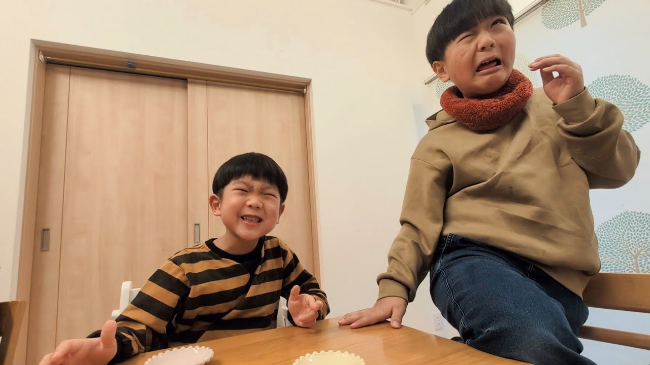グミ大好きどんちゃんシゲキックスを食べて後悔する　蒲焼さん太郎ひなごんシゲキックスおいちゃんポイフルどんちゃん　#2246