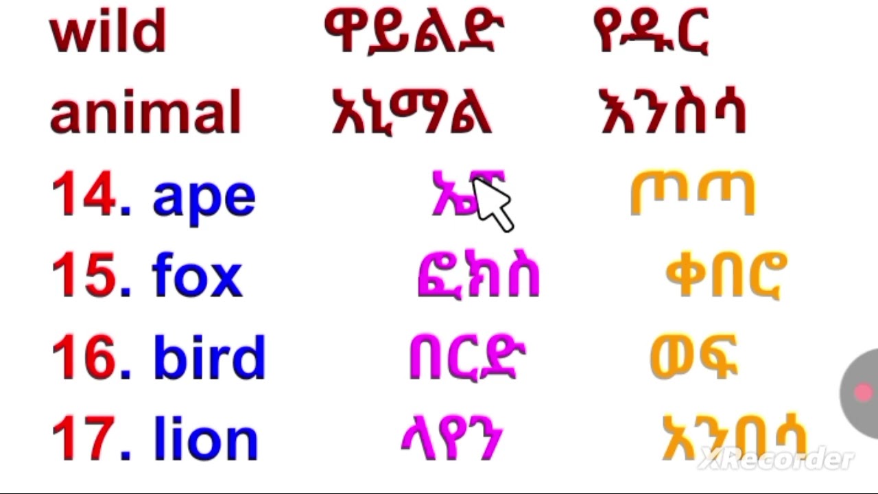 #habesha #education ቀላል የቋንቋ ትምህርት ለጀማሪዎች