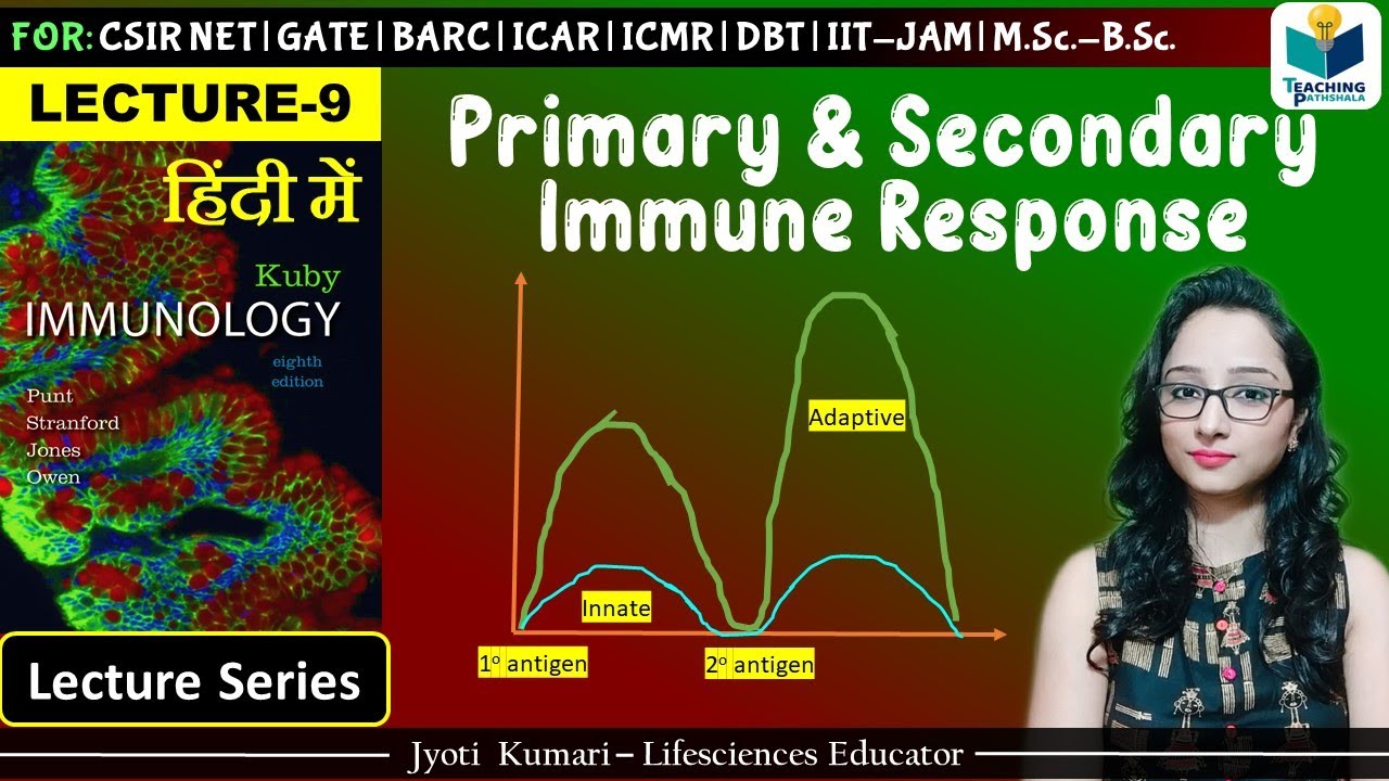 Immunology: Primary and Secondary Immune Response |Lecture-9