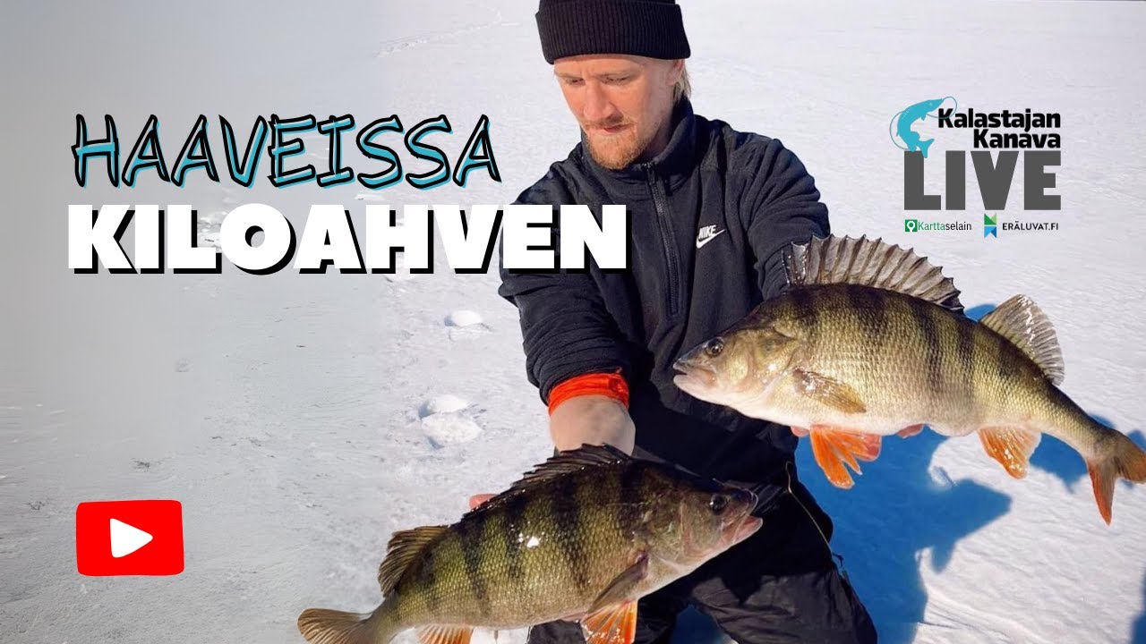 Haaveissa kiloahven pilkillä? | Kalastajan Kanavan LivE