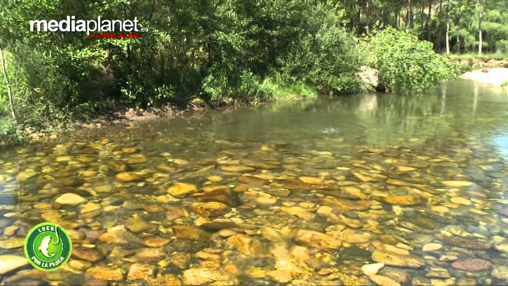 LOCOS POR LA PESCA PROGRAMA 14