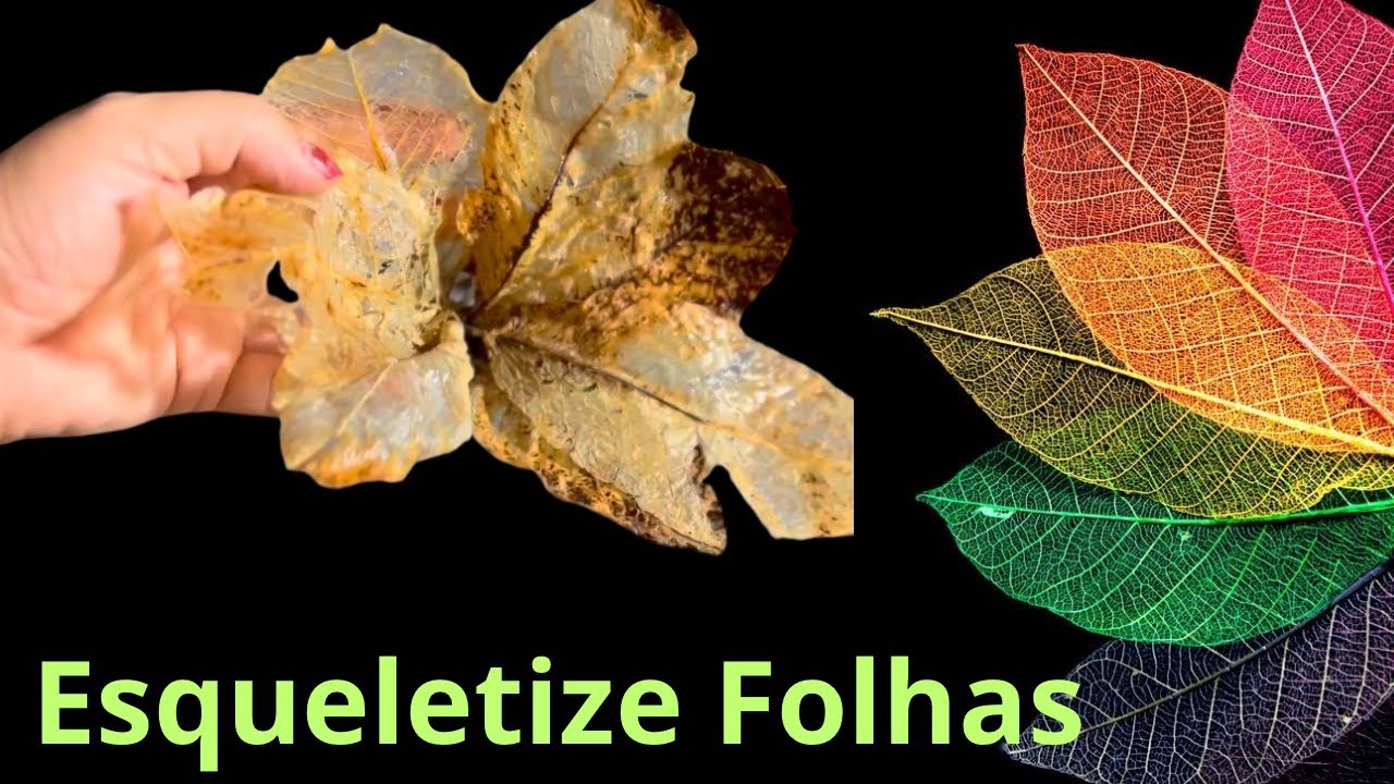 COMO ESQUELETIZAR FOLHAS E RESINAR PARA ETERNIZAR