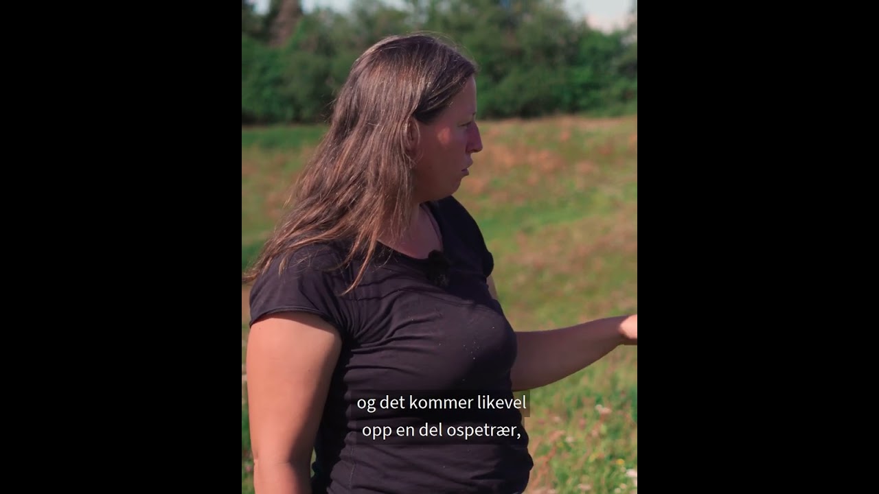 Bli med til bonden som tar vare på ville pollinerende insekter