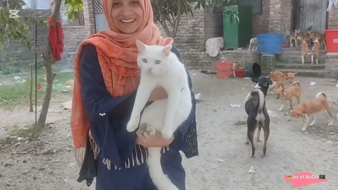কুকুর ও বিড়ালের চিড়িয়াখানা।