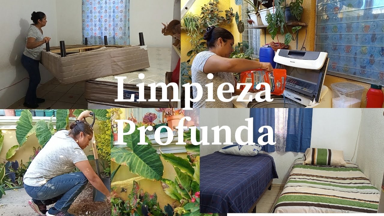 LIMPIEZA PROFUNDA 🧹 / ARREGLANDO EL JARDÍN 🌿 COMPRÉ NUEVAS PLANTAS 🪴