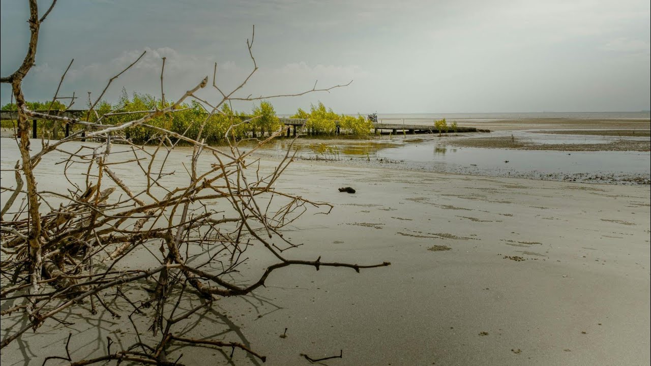 Sunday Morning At The Beach, 15th February 2026 #beach #sunday #february #2026