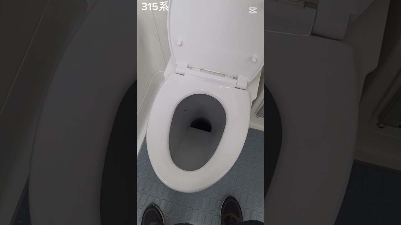 【全画面推奨】色々な列車内のトイレ