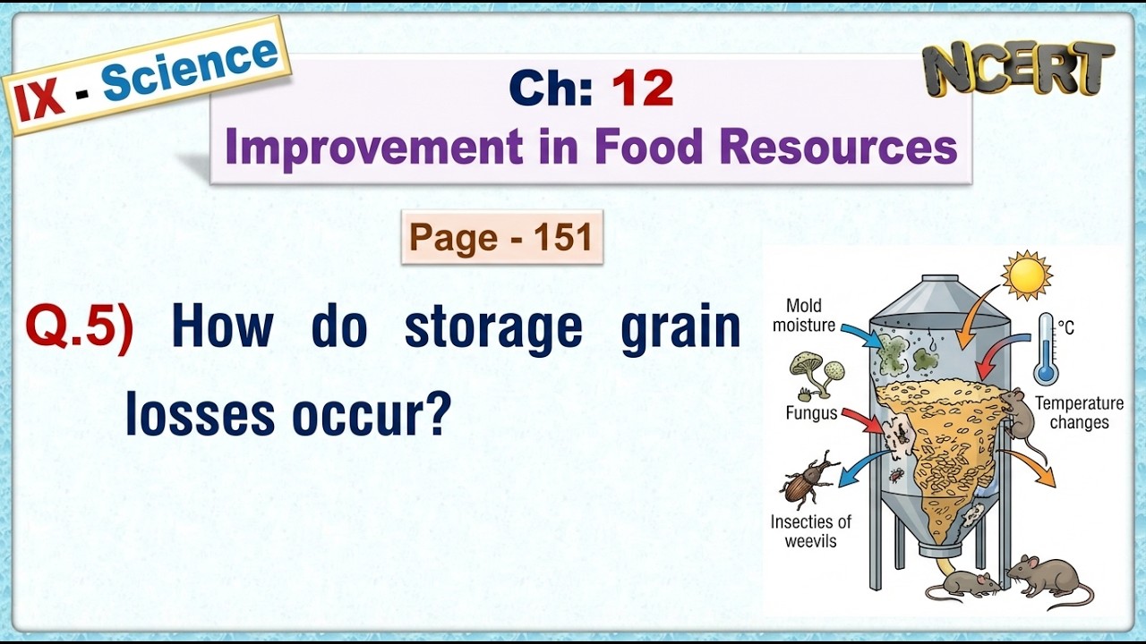 Ch:12 - Pg:151 - Q.5) How do storage grain losses occur?
