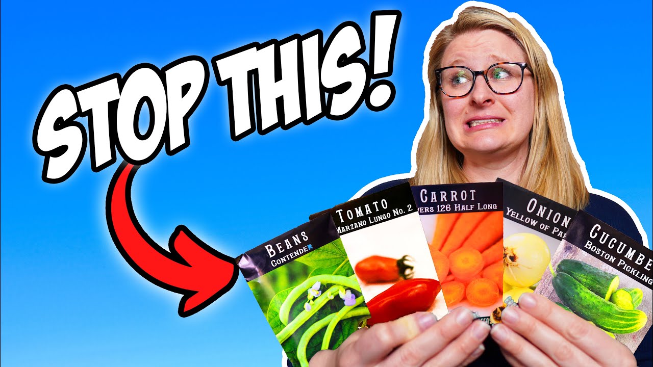 Overbuying Garden Seeds? Watch This! (2023 Seed Haul)