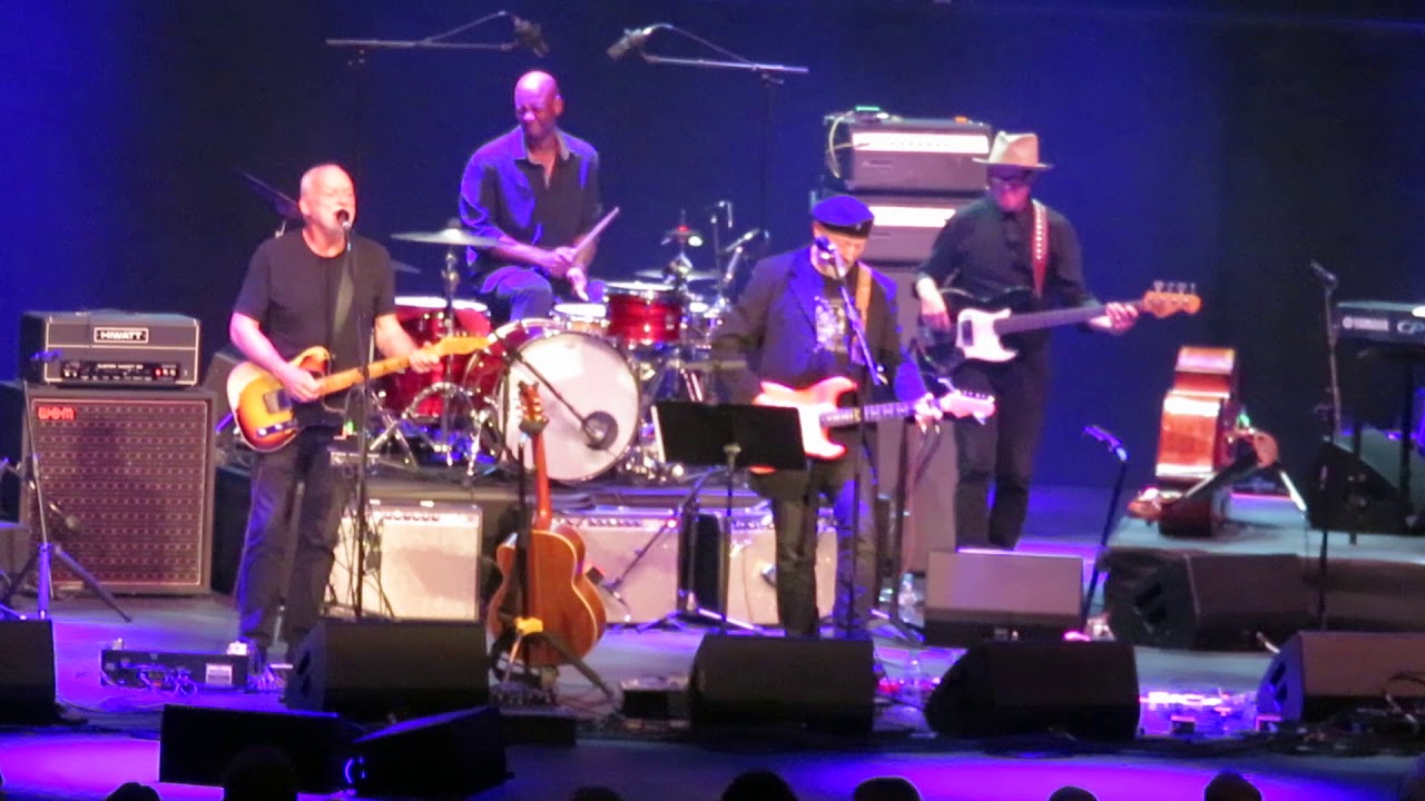 Richard Thompson - 