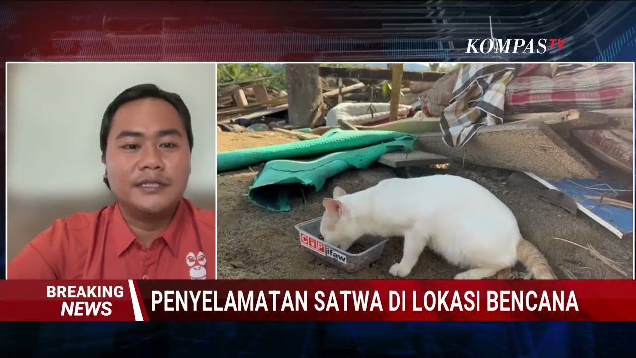[FULL] Update Lokasi Proses Evakuasi Satwa Usai Terdampak Banjir & Longsor Sumatera