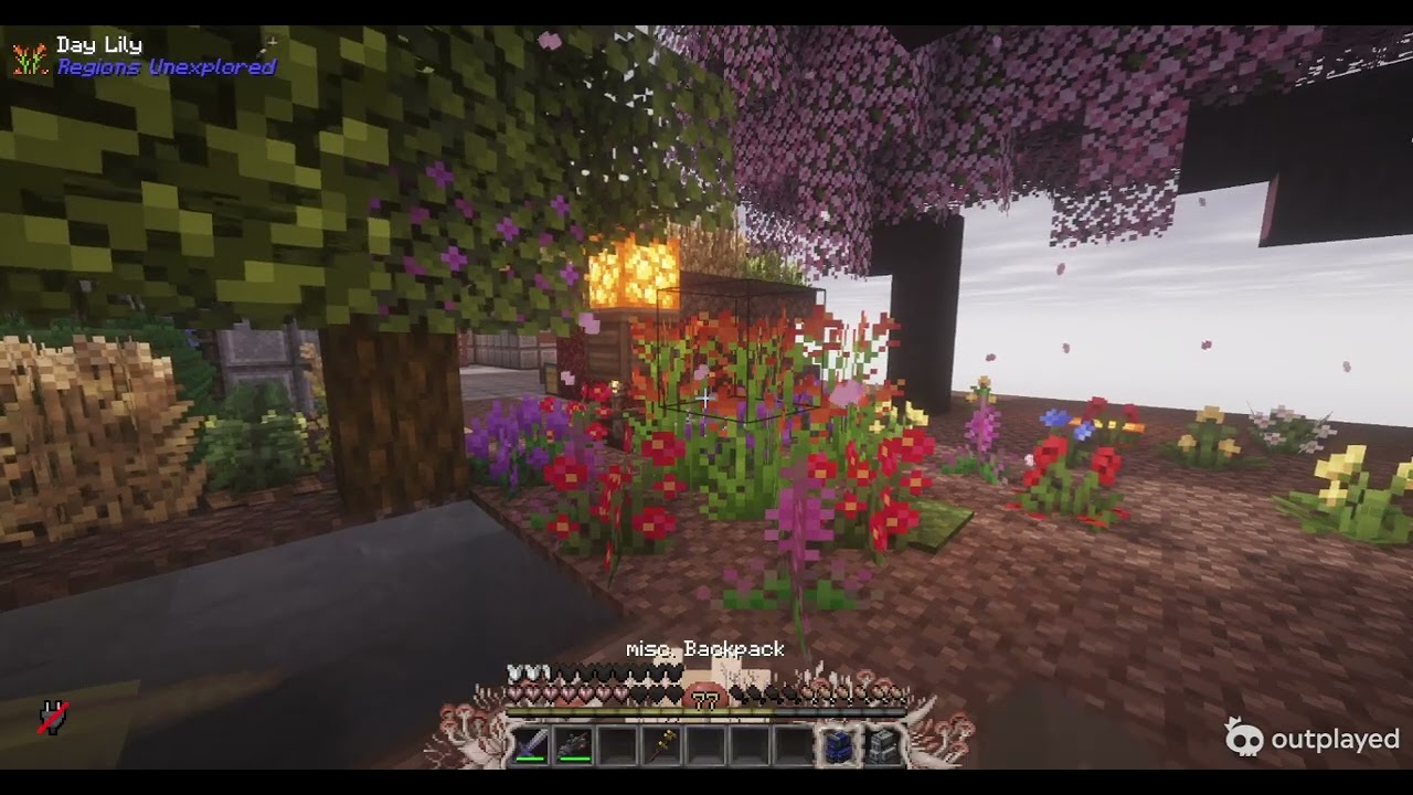 Minecraft Java 01 18 2026 19 17 45 333