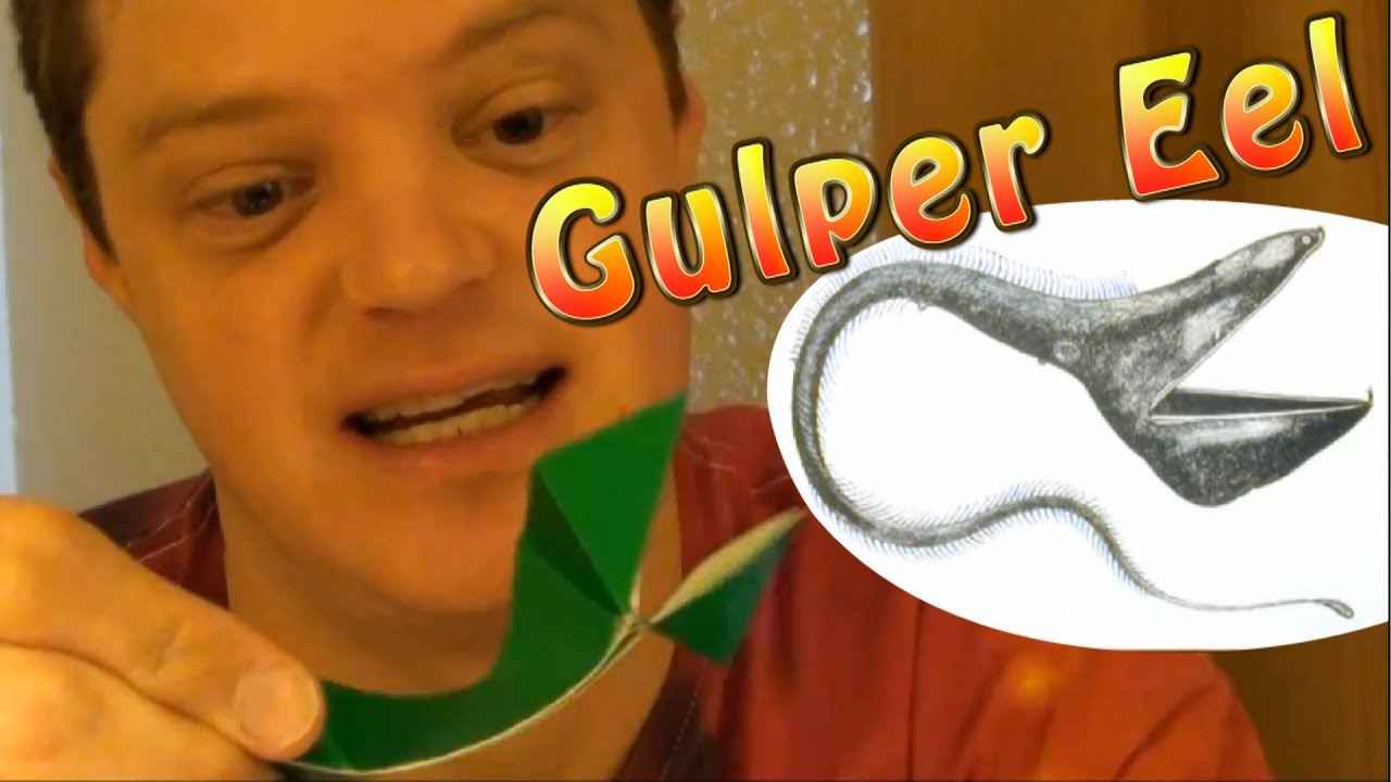 Fold an Origami Gulper Eel by Jeremy Shafer