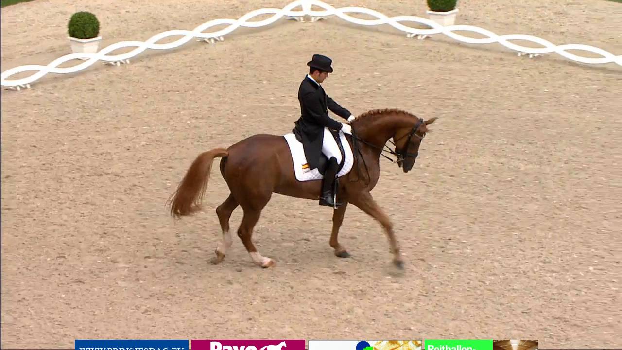 Severo Jurado & Lorenzo - Freestyle 83.3% Aachen 2016